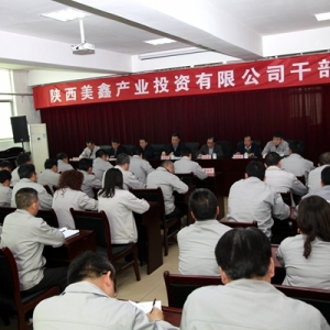 ���ɫ���F���_������ι�˾�ɲ����