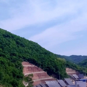 �V�I��˾����l��Ŀ���F�l�17�f��