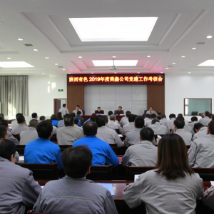 ���F(tu��n)��˾�����ι�˾�I(l��ng)��(d��o)�����_չ2019����h���������u