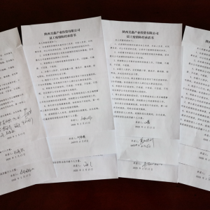 ������ �ҳ��Z