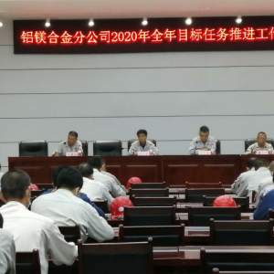 �X�V�Ͻ�ֹ�˾���_2020��ȫ��Ŀ���΄����M�������h