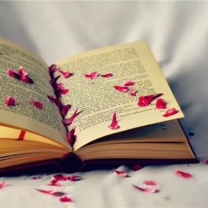 ��һ�P���M