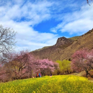 �������