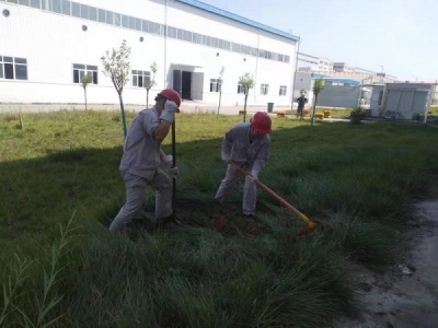 �ӏ�(qi��ng)��Ѵ���� ���ΰ�ȫ�t��