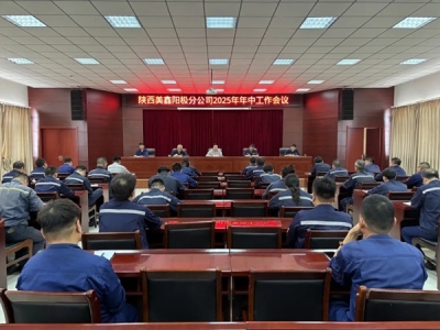 �(y��ng)�O�ֹ�˾���_(k��i)2025�����й�����(hu��)�h